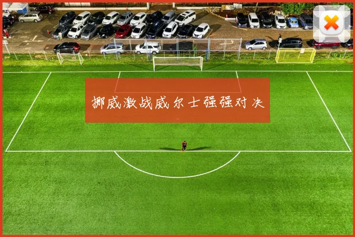 挪威激战威尔士强强对决