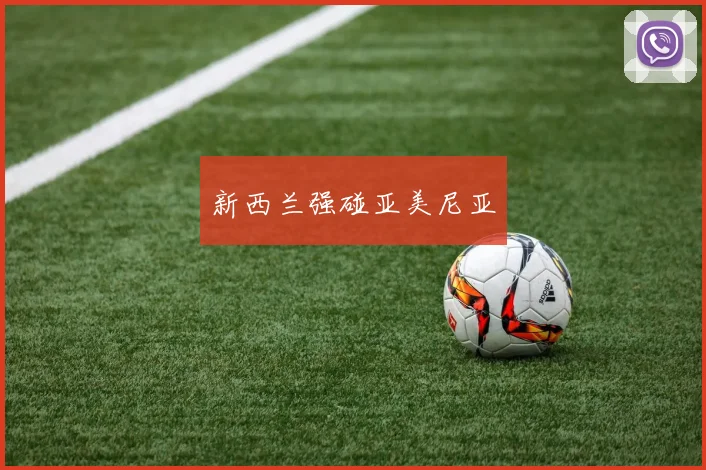 新西兰强碰亚美尼亚
