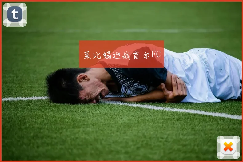 莱比锡迎战首尔FC