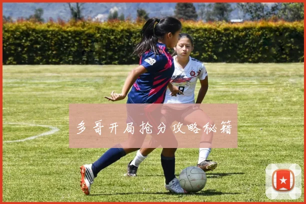 多哥开局抢分攻略秘籍