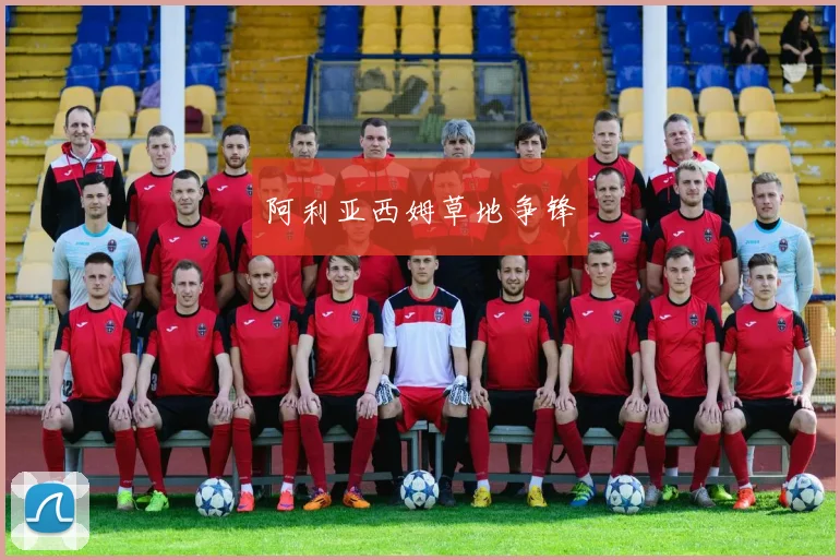 阿利亚西姆草地争锋