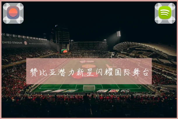 赞比亚潜力新星闪耀国际舞台