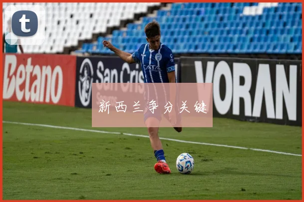 新西兰争分关键