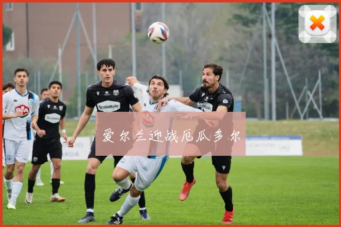 爱尔兰迎战厄瓜多尔