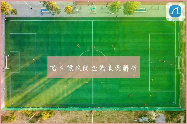 哈兰德攻防全能表现解析
