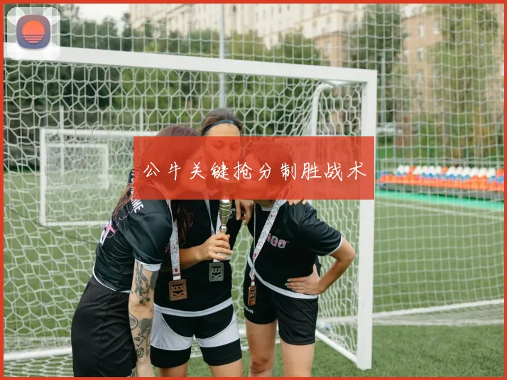 公牛关键抢分制胜战术