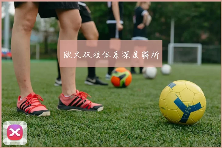 欧文双核体系深度解析