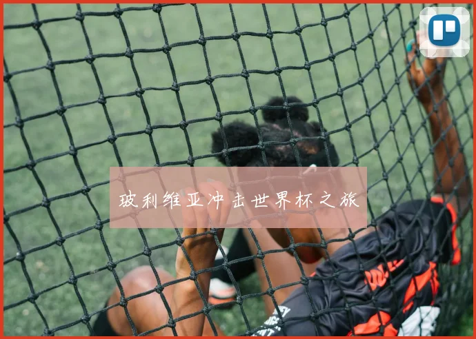 玻利维亚冲击世界杯之旅