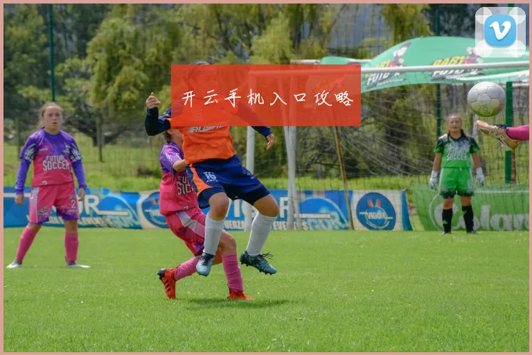 开云手机入口攻略
