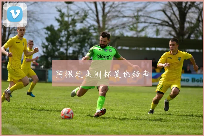 阿根廷美洲杯复仇赔率