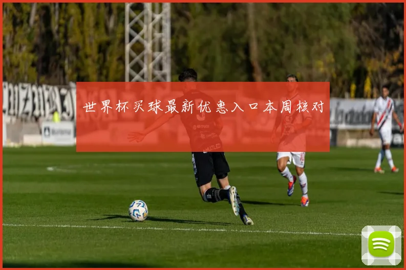世界杯买球最新优惠入口本周核对