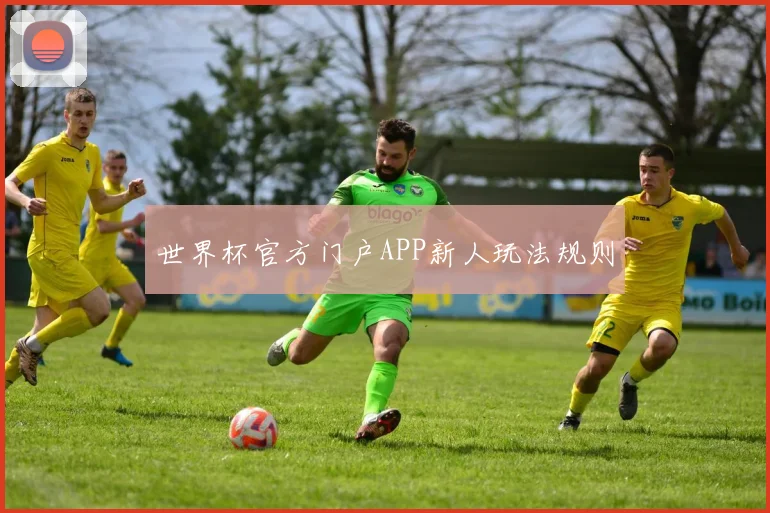 世界杯官方门户APP新人玩法规则