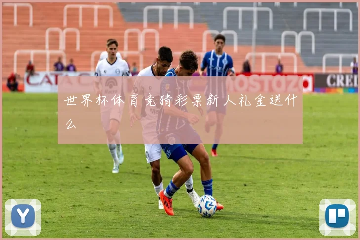 世界杯体育竞猜彩票新人礼金送什么
